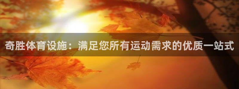 意昂3集团官网首页：奇胜体育设施：满足您所有运动需求