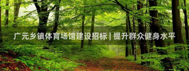 意昂体育3软件：广元乡镇体育场馆建设招标 | 提升群