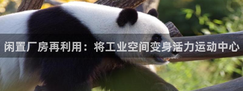 意昂3娱乐下载：闲置厂房再利用：将工业空间变身活力运