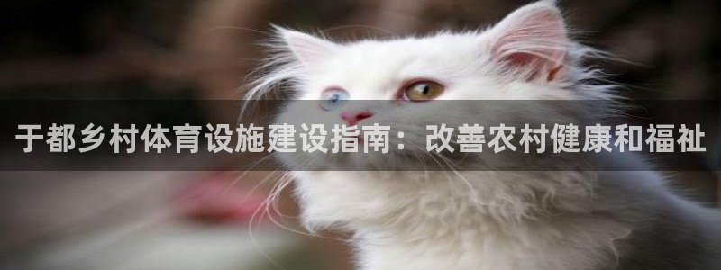 意昂3集团E.ON：于都乡村体育设施建设指南：改善农