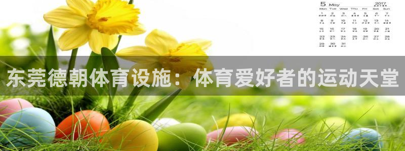意昂体育3平台注册流程视频：东莞德朝体育设施：体育爱
