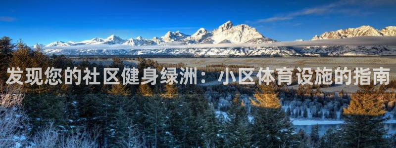 意昂体育3平台APP：发现您的社区健身绿洲：小区体育