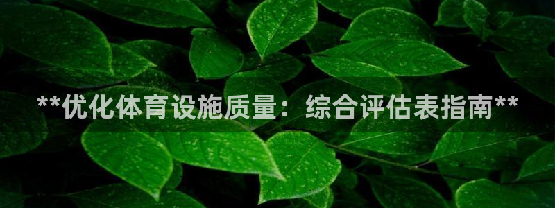 意昂3娱乐首页网站大全：**优化体育设施质量：综合评
