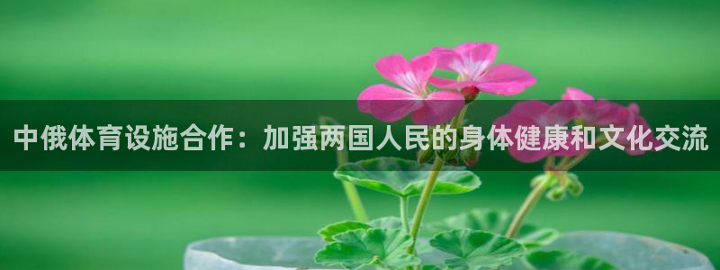 意昂3娱乐：中俄体育设施合作：加强两国人民的身体健康