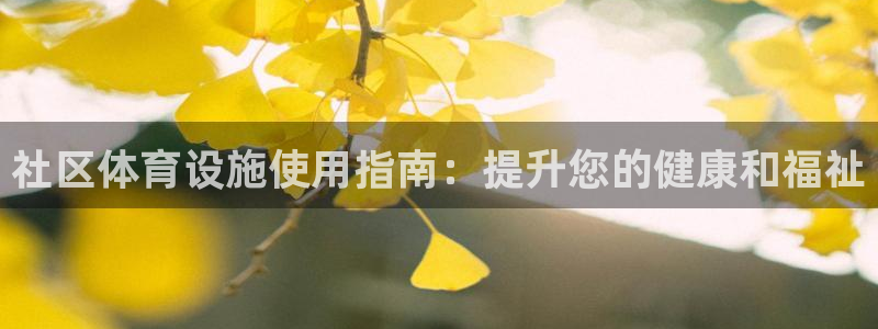 海南意昂体育3：社区体育设施使用指南：提升您的健康和