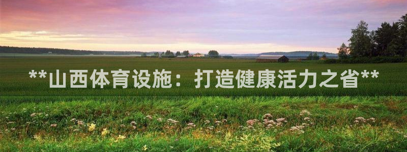 意昂体育3娱乐：**山西体育设施：打造健康活力之省*