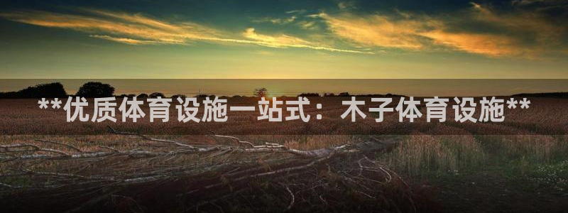 意昂体育3开户：**优质体育设施一站式：木子体育设施