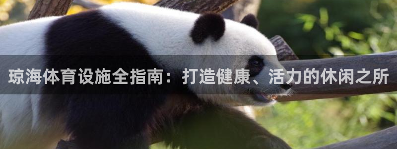 意昂体育3平台假的吗是真的吗：琼海体育设施全指南：打
