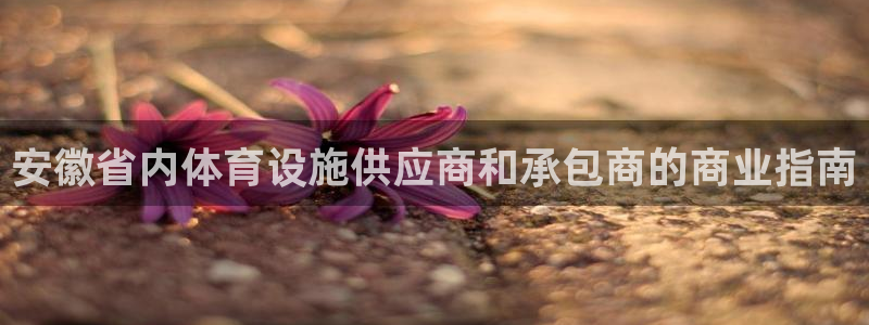 海南意昂体育3：安徽省内体育设施供应商和承包商的商业
