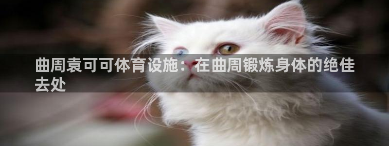 意昂3娱乐：曲周袁可可体育设施：在曲周锻炼身体的绝佳