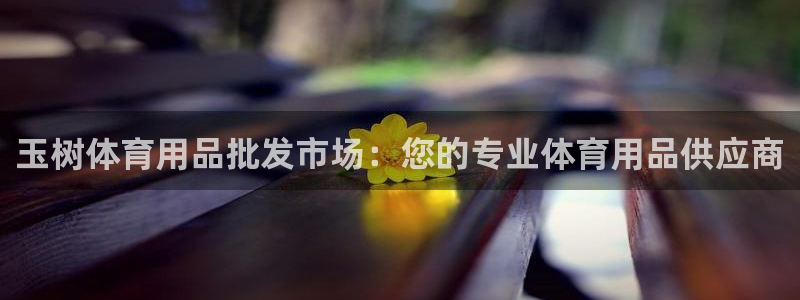 意昂3代理：玉树体育用品批发市场：您的专业体育用品供