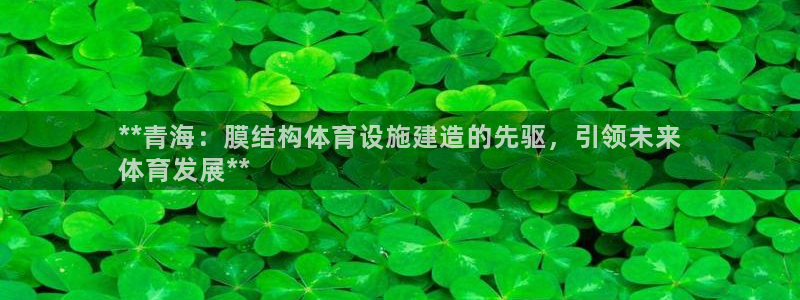 意昂体育3平台注册流程图：**青海：膜结构体育设施建