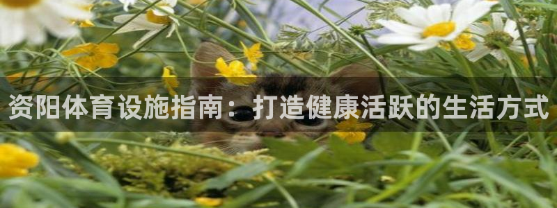 意昂体育3招商电话地址：资阳体育设施指南：打造健康活