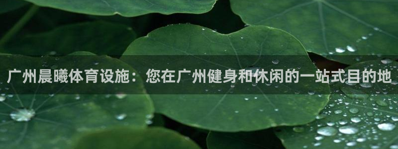 意昂体育3招商电话地址：广州晨曦体育设施：您在广州健