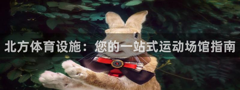 意昂体育3注册：北方体育设施：您的一站式运动场馆指南