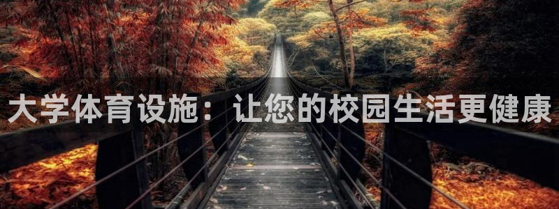 德国意昂3集团：大学体育设施：让您的校园生活更健康