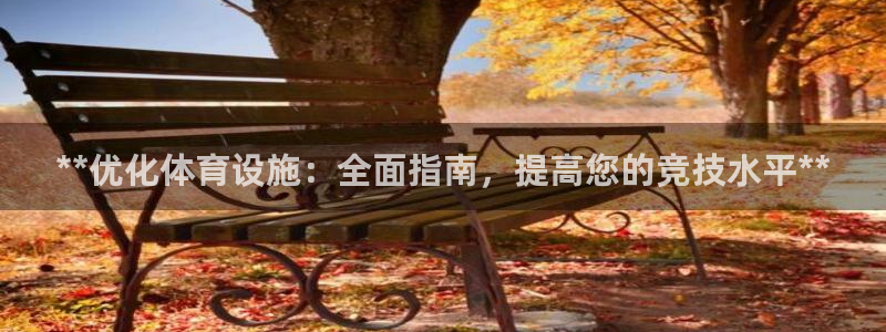意昂体育3娱乐：**优化体育设施：全面指南，提高您的