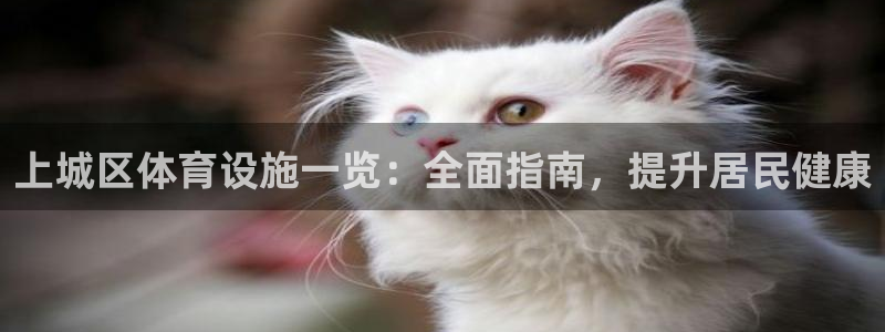 意昂体育3招商电话：上城区体育设施一览：全面指南，提