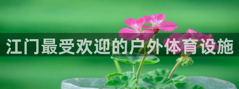 意昂平台体育：江门最受欢迎的户外体育设施
