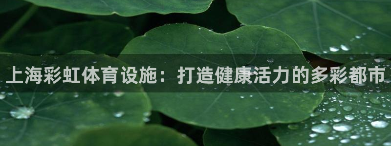 意昂体育3联系电话：上海彩虹体育设施：打造健康活力的