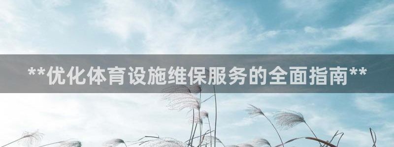 意昂体育3平台注册：**优化体育设施维保服务的全面指