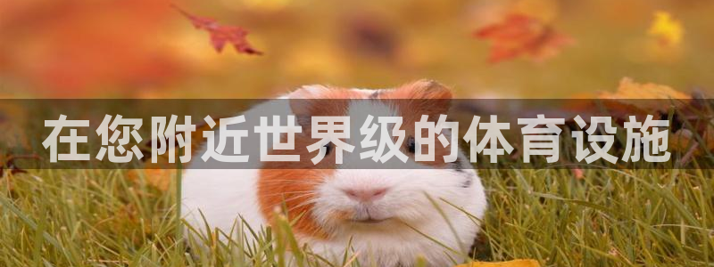 意昂3科技：在您附近世界级的体育设施