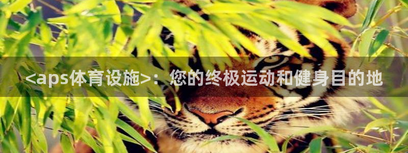 意昂体育3平台注册：<aps体育设施>：您的终极运动