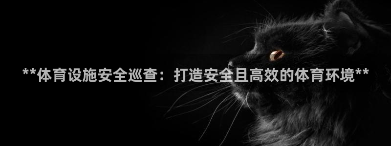 意昂3集团E.ON：**体育设施安全巡查：打造安全且
