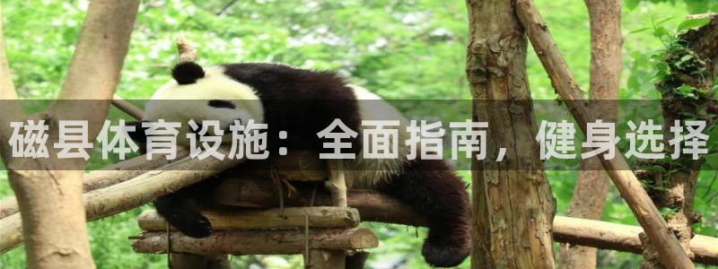 意昂3科技：磁县体育设施：全面指南，健身选择