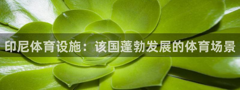 意昂体育3招商电话号码查询：印尼体育设施：该国蓬勃发