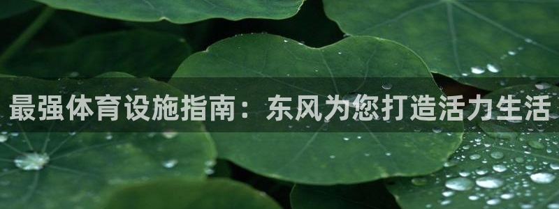 意昂3新能源：最强体育设施指南：东风为您打造活力生活