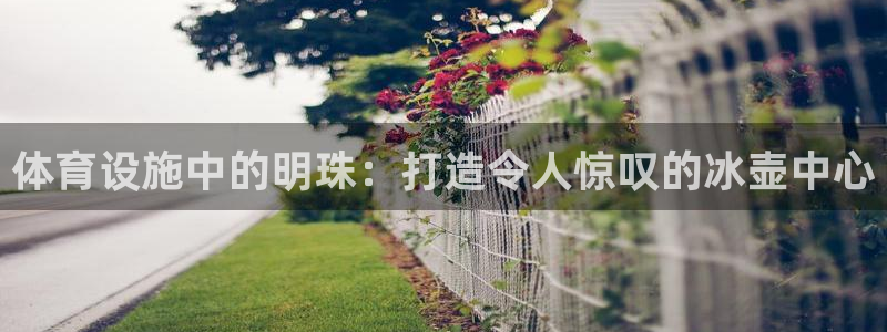 意昂体育3注册：体育设施中的明珠：打造令人惊叹的冰壶