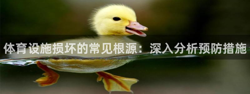 意昂体育3平台APP：体育设施损坏的常见根源：深入分
