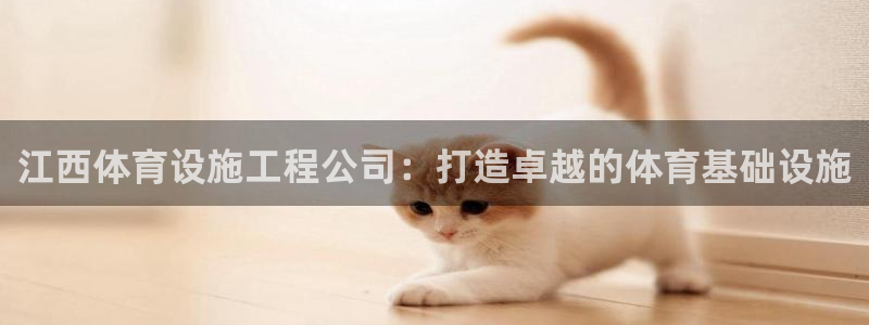 意昂3代理：江西体育设施工程公司：打造卓越的体育基础