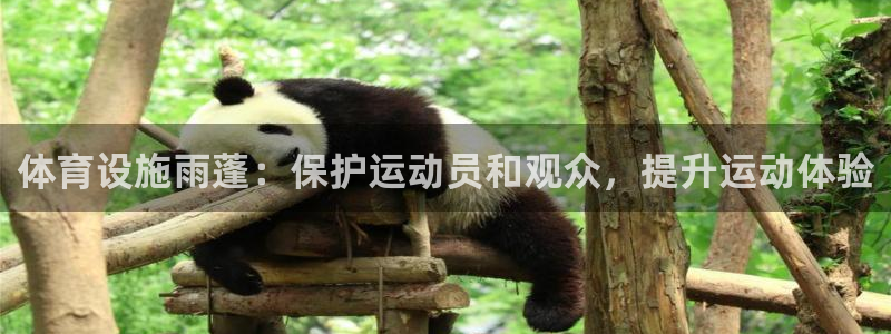 意昂3娱乐40996：体育设施雨蓬：保护运动员和观众