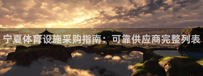 意昂体育3平台注册要钱吗安全吗：宁夏体育设施采购指南