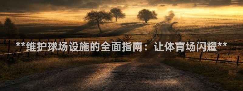 意昂3代理：**维护球场设施的全面指南：让体育场闪耀