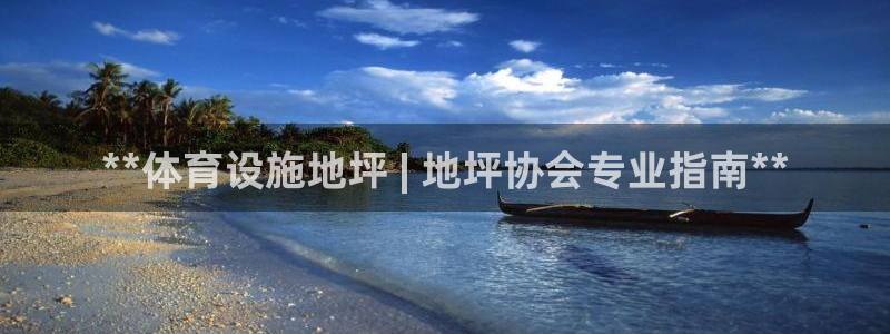 注册意昂3：**体育设施地坪 | 地坪协会专业指南*