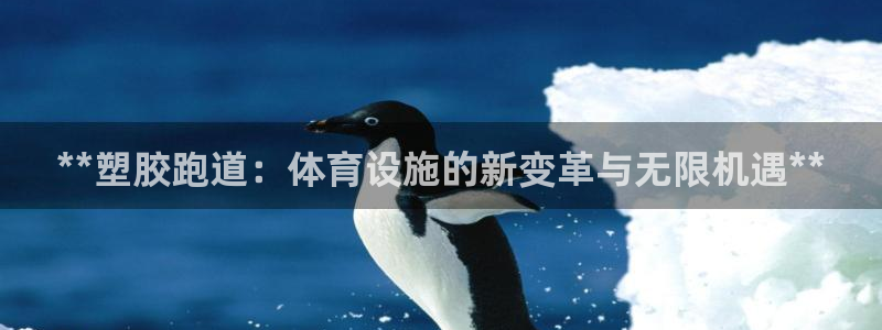 意昂3集团官网首页网址：**塑胶跑道：体育设施的新变