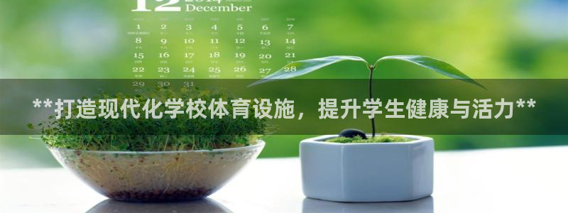 意昂3神州：**打造现代化学校体育设施，提升学生健康