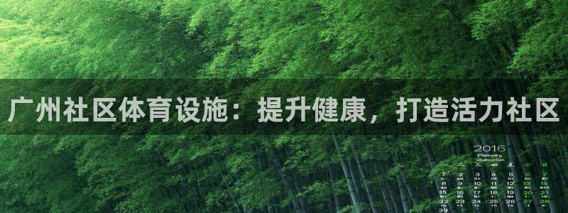 意昂3娱乐下载：广州社区体育设施：提升健康，打造活力