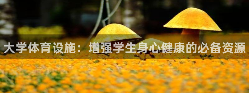 意昂3官方：大学体育设施：增强学生身心健康的必备资源