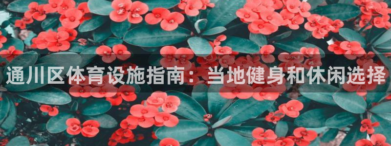 意昂体育3招商电话