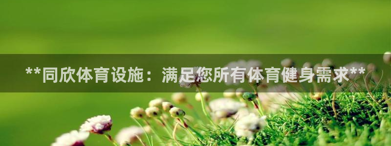 意昂体育3注册：**同欣体育设施：满足您所有体育健身