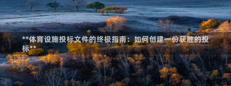 意昂3娱乐是那个系列的台子：**体育设施投标文件的终