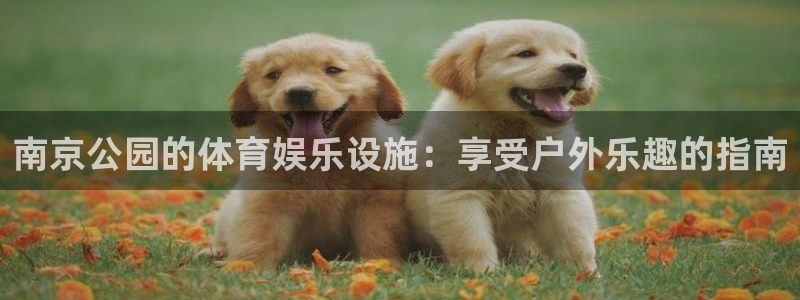 意昂体育3招商电话号码是多少号：南京公园的体育娱乐设