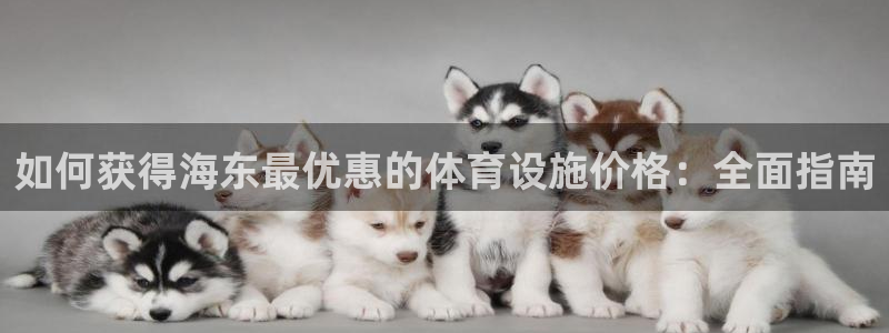 意昂体育3平台：如何获得海东最优惠的体育设施价格：全