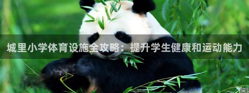 意昂体育3平台注册要钱吗是真的吗：城里小学体育设施全