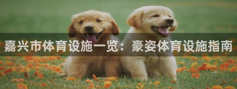 意昂体育3招商电话：嘉兴市体育设施一览：豪姿体育设施