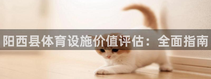 意昂3集团简介：阳西县体育设施价值评估：全面指南